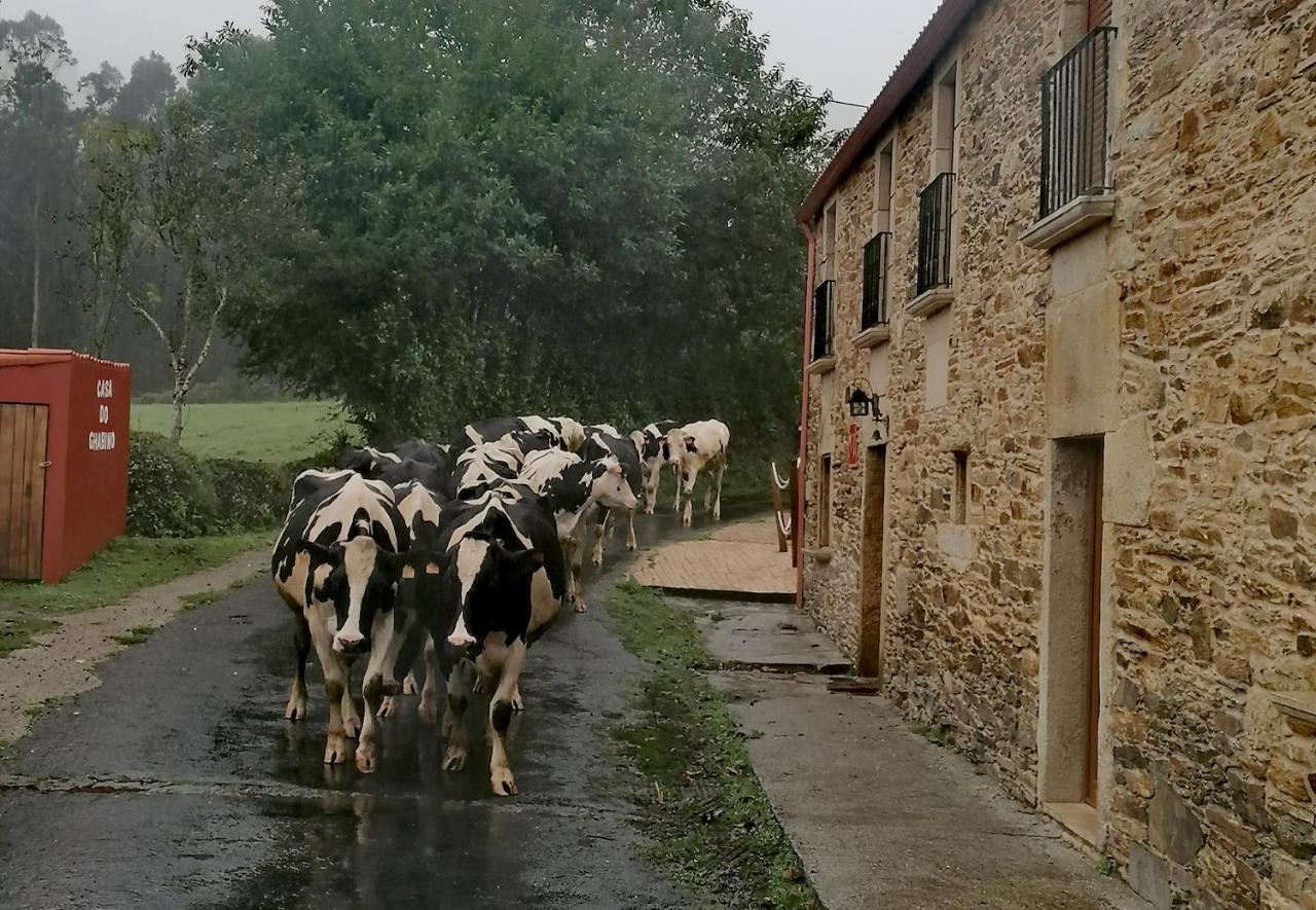 Casa Do Ghabino Konuk evi Santa Comba Dış mekan fotoğraf